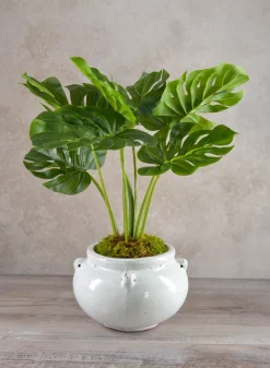 Jakarta Bowl Clay & Ceramic Planters, Cloud White