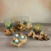 Jakarta Teak Stump With Glass Cylinder, Large
