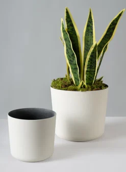 Jardin White Plastic Pot