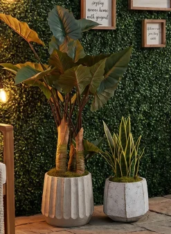 Kesari Aged White Fiberglass Planter