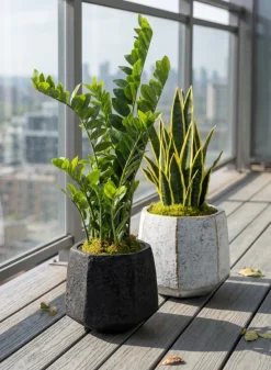 Kesari Aged White Fiberglass Planter