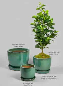 Laos Teal Glazed Ceramic Planter
