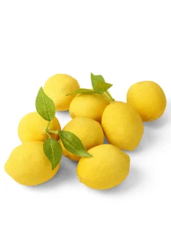 Lemons With Loose Leaves, Set of 8