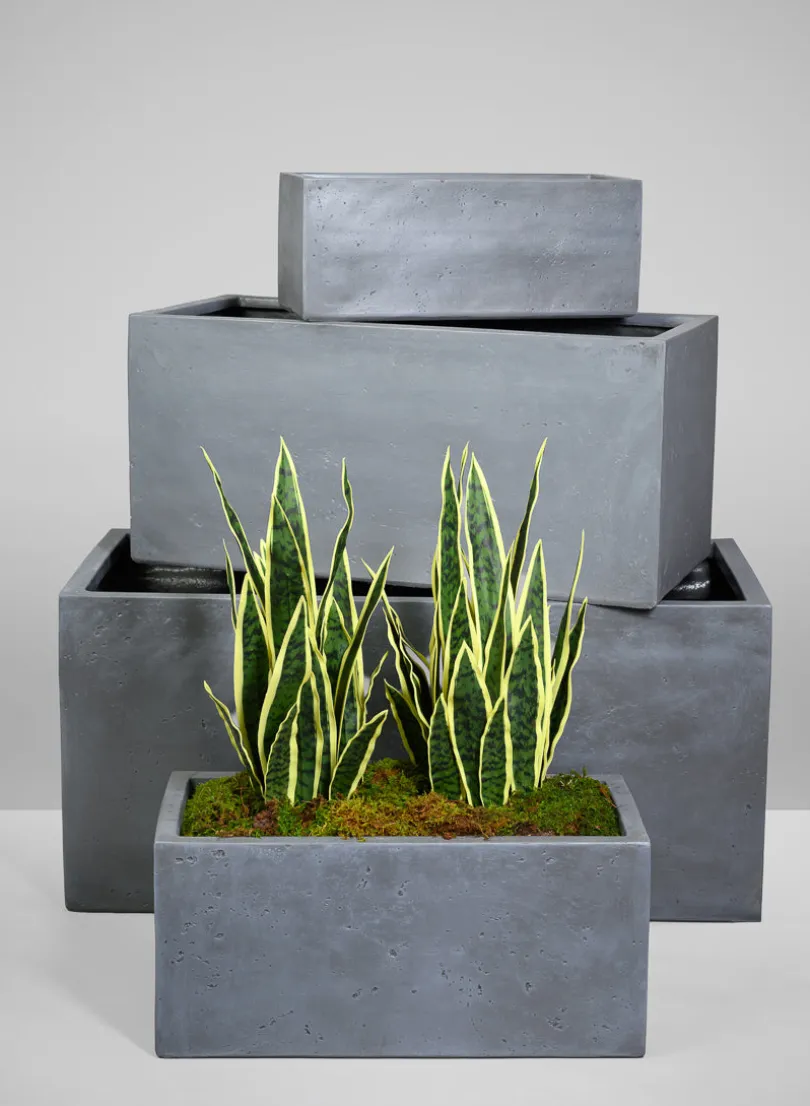 Longine Patio All Weather Light Weight Speckle Grey Polyresin Rectangular Planters