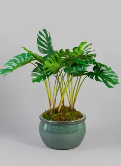 Low Bowl Clay & Ceramic Planter, Bali Jade