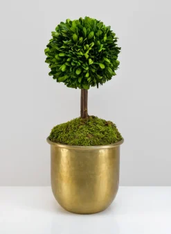 LuckNow Brass look Aluminum Pot