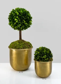 LuckNow Brass look Aluminum Pot