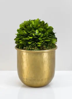 LuckNow Brass look Aluminum Pot
