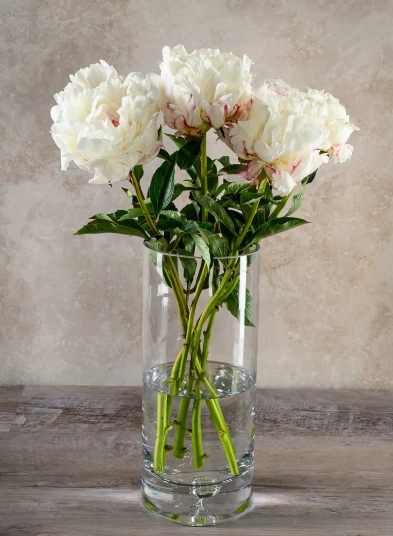 Luxe Cylinder Glass Vase