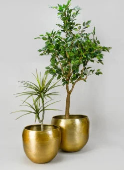Madurai Brass Look Aluminum Indoor Garden Pot