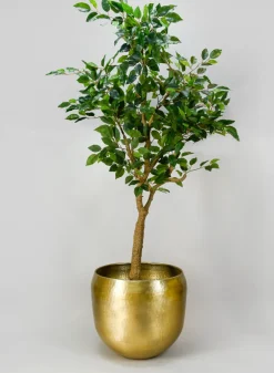 Madurai Brass Look Aluminum Indoor Garden Pot