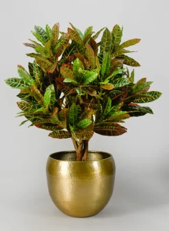 Madurai Brass Look Aluminum Indoor Garden Pot