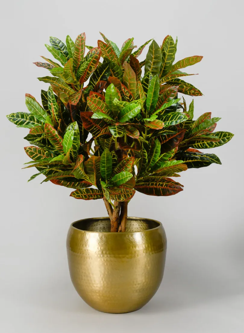 Madurai Brass Look Aluminum Indoor Garden Pot