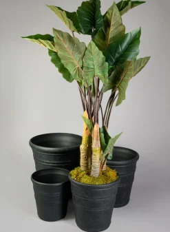 Manhattan Black Light Weight PVC Rolled Rim Planter