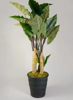 Manhattan Black Light Weight PVC Rolled Rim Planter