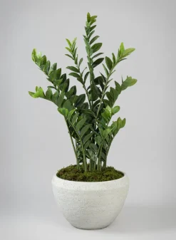 Meknes Fiber Cement Low Bowls, Rustic White