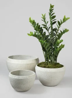 Meknes Fiber Cement Low Bowls, Rustic White