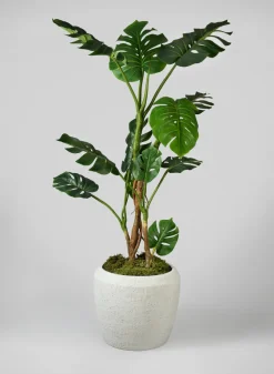 Meknes Fiber Cement Planters, Rustic White