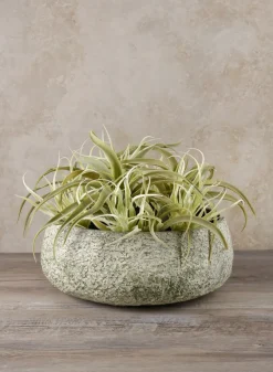 Mesquite Chalk Stone Moss Green Low Bowl