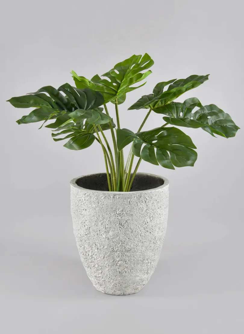 Mesquite Chalk Stone Planter