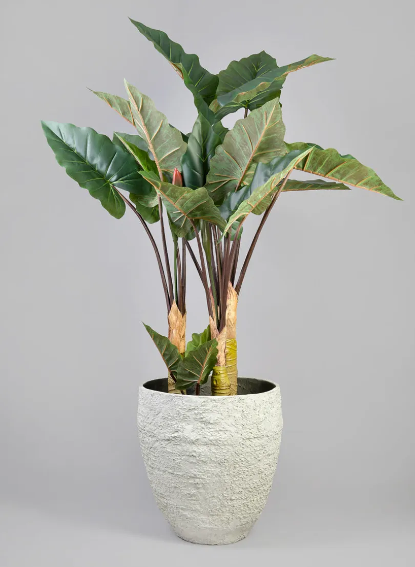 Mesquite Chalk Stone Planter