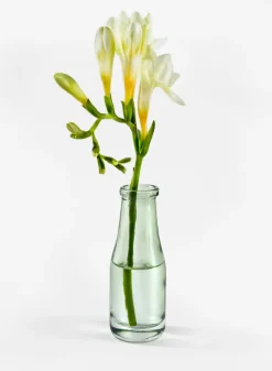 Mexican Green Glass Bud Glass Vases