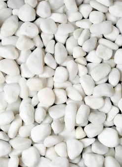 Mini Snow White Rocks