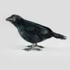 Morrigan Black Crow