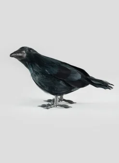 Morrigan Black Crow