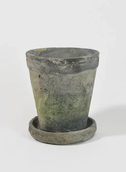 Mossed Blackstone Wide Rim Pot and Saucer