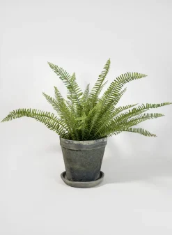 Mossed Blackstone Wide Rim Pot and Saucer