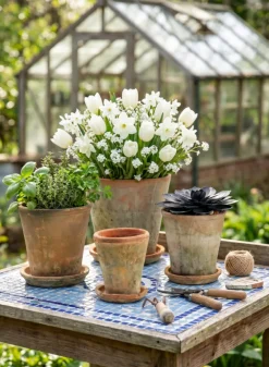Mossed Redstone Rose Pot With Saucer