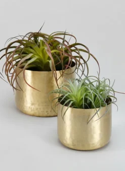 Mysore Brass Look Aluminum Pot