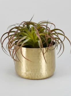 Mysore Brass Look Aluminum Pot