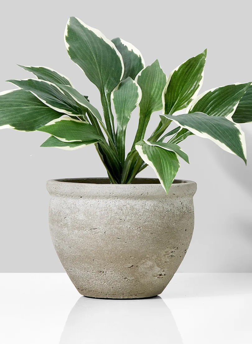 Natural Cement Fishbowl Pot