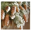 18oz Snow Blast Spray