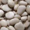 Polished White Mini River Stones