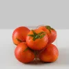 Ponderosa Heirloom Tomatoes, Set of 6