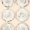 Preserved Angelical White Rose, Set of 6