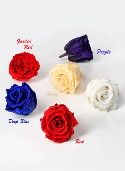Preserved Deep Classy Blue Roses, Set of 6