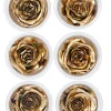 Preserved Gold Roses, Set of 6