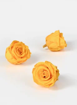 Preserved Gracious Yellow Rose, Set of 6
