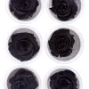 Preserved Luxurious Black Rose, Set of 6
