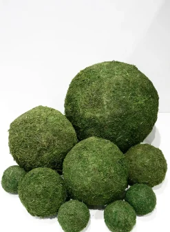 Preserved Moss Balls