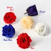 Preserved Passionate Red Rose, Set of 6