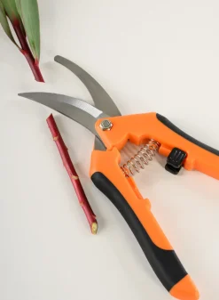 Professional All Purpose Floral Shears