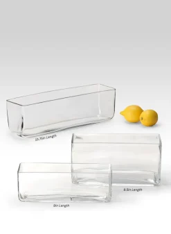 Rectangular Clear Glass Vases