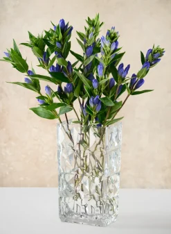 Rectangular Crystal Look Glass Vase