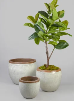 Rimmed Bowl Clay & Ceramic Planter, Yucatan Stone White