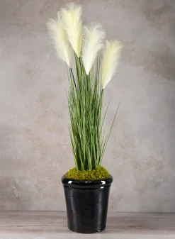 Rolled Rim Clay & Ceramic Planter, Mesquite Black